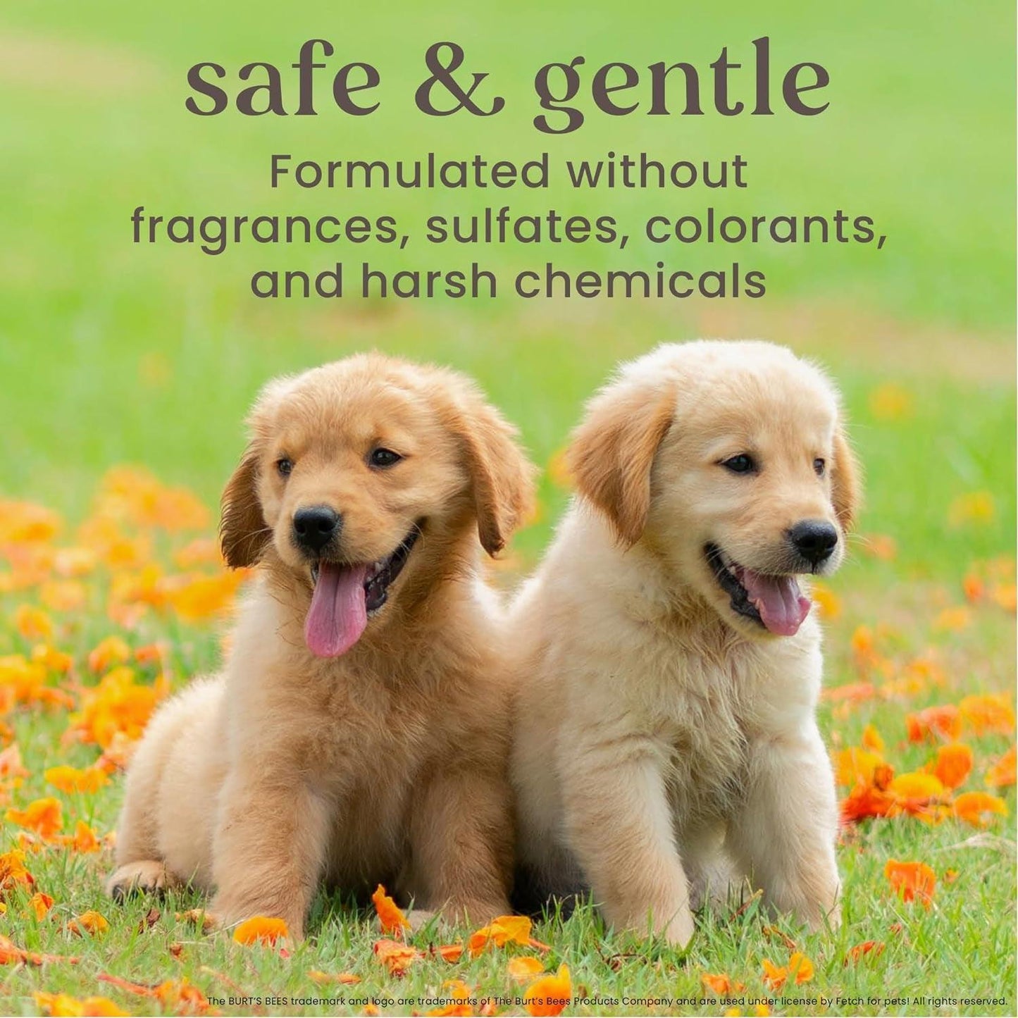 Tearless Puppy 2-In-1 Shampoo & Conditioner with Buttermilk and Linseed Oil - Happy Tails and Purrs