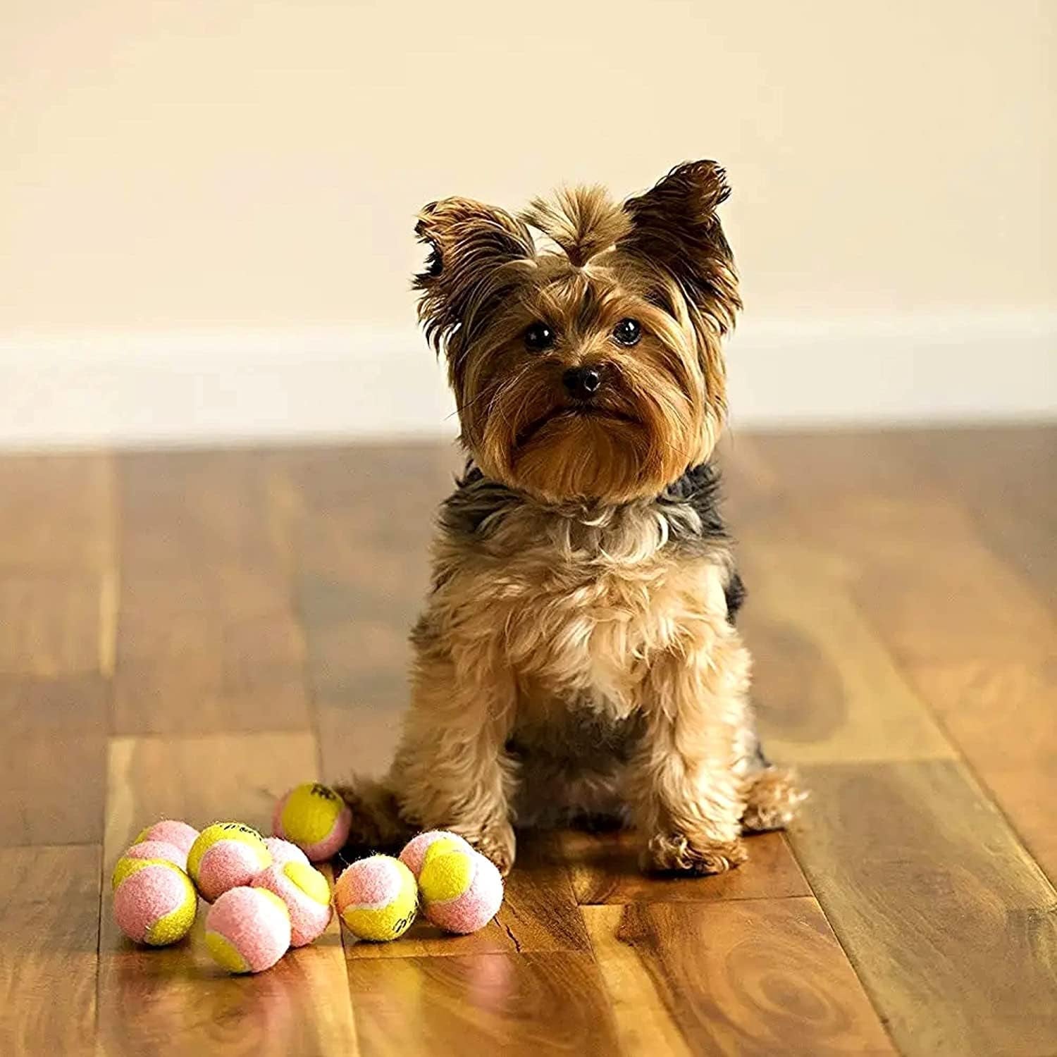 X-Small Dog Tennis Balls (1.5"): Pack of 12 for Puppies - Yellow/Pink