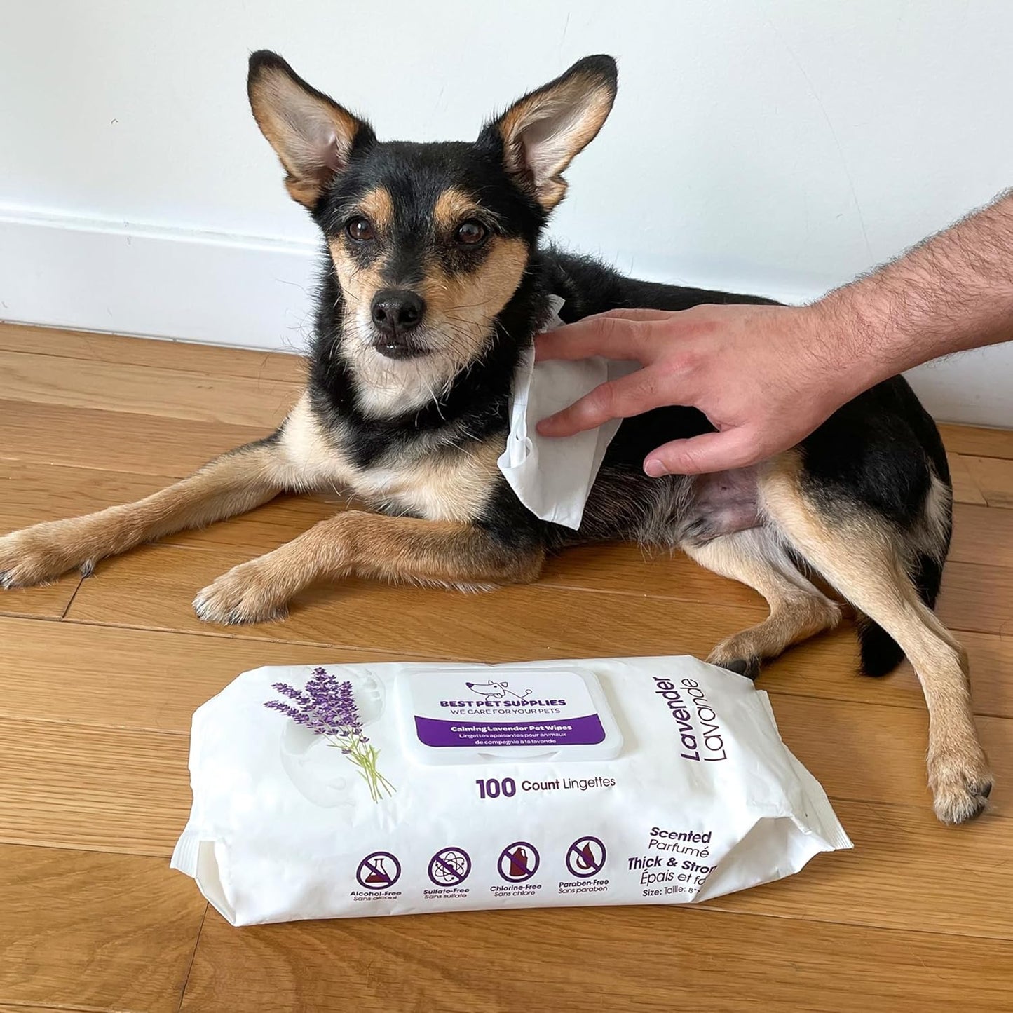 "Pet Grooming Wipes for Dogs & Cats - 100 Pack, Plant-Based Deodorizer for Coats & Sensitive Skin, Calming Lavender Scent" - Happy Tails and Purrs