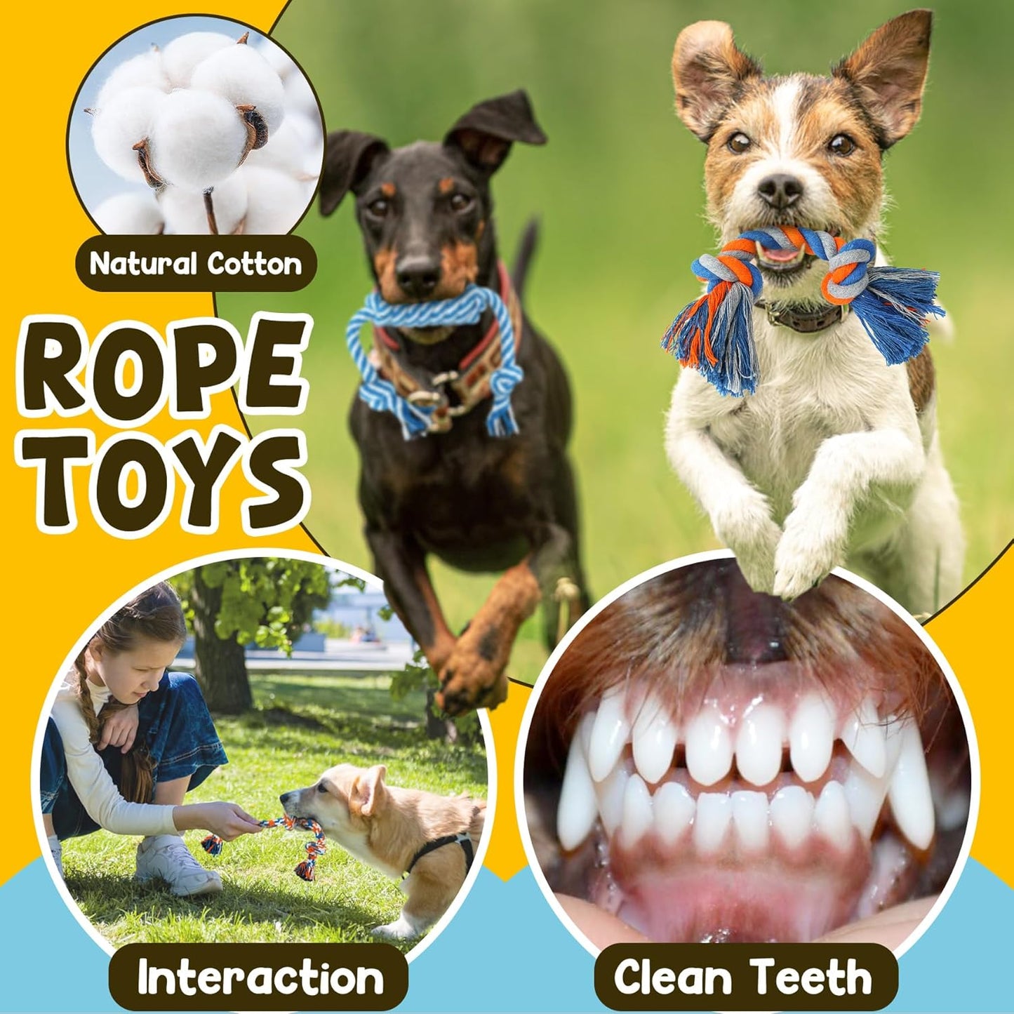 Super Luxury Puppy Toys for Teething Small Dogs!