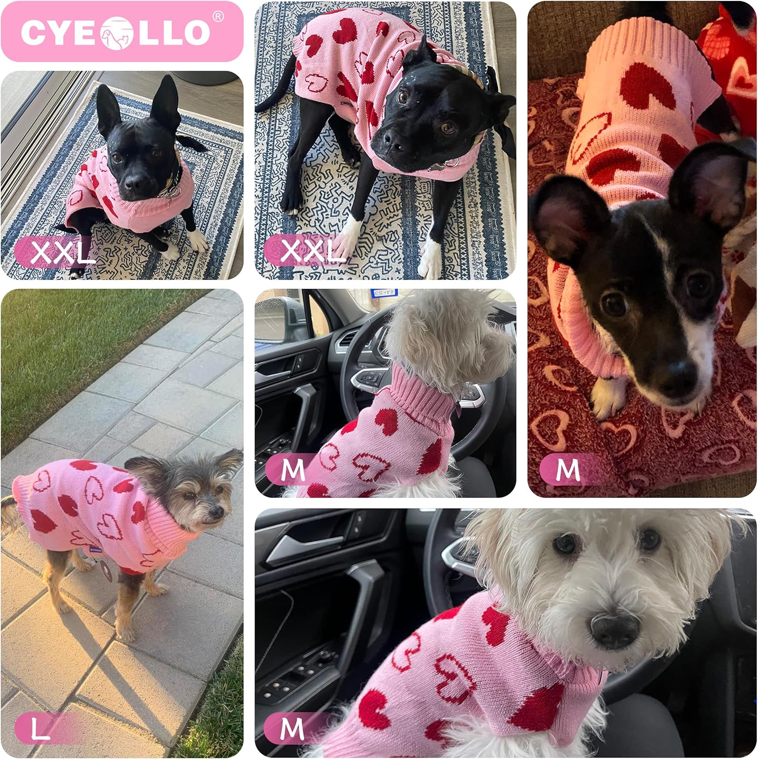 Valentine's Heart Sweater for Small Dogs - Pink Turtleneck with Leash Hole