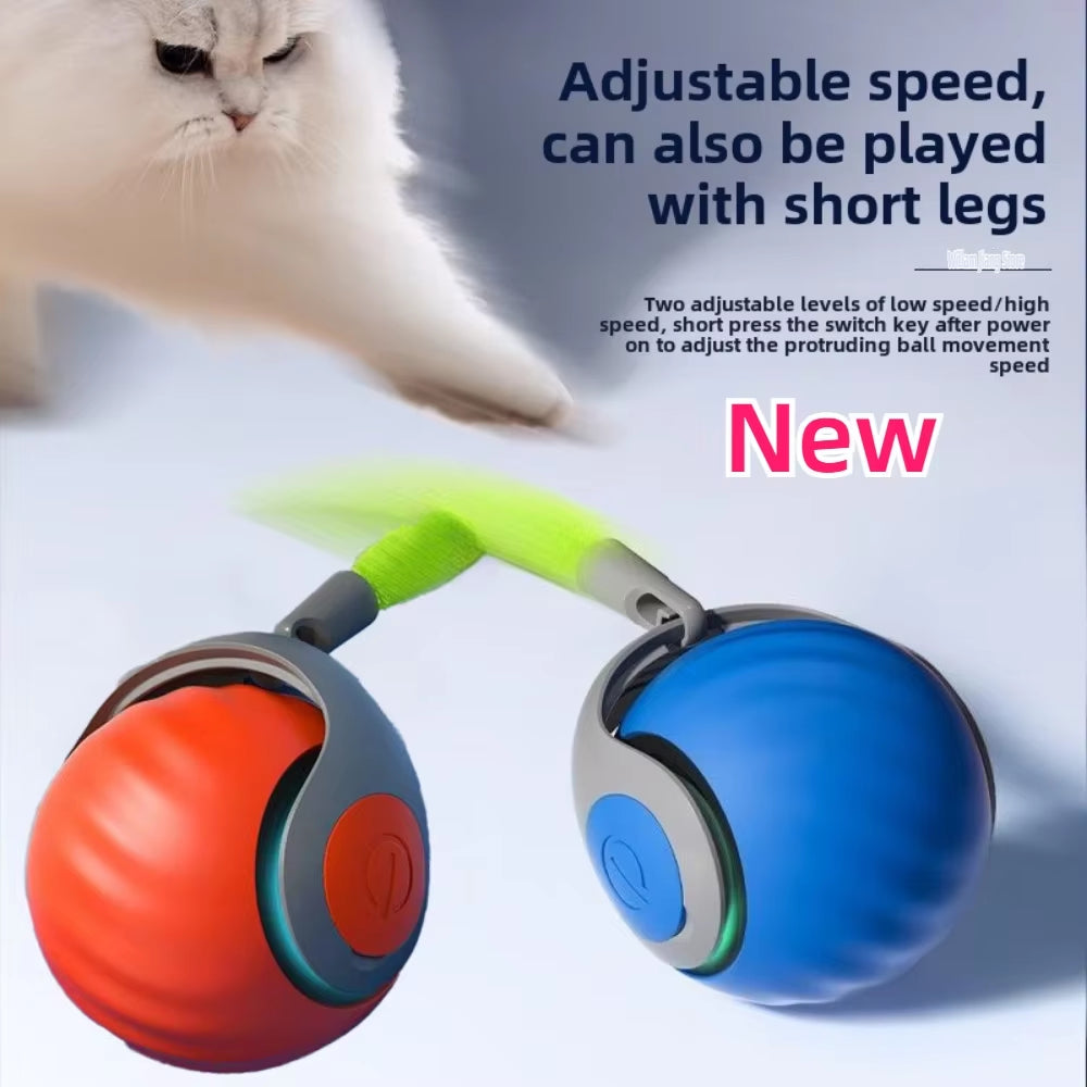 Feline Fitness Funball: The Unfathomably Smart Kitty Spin 'n' Feather Roller of Endless Cat Shenanigans!